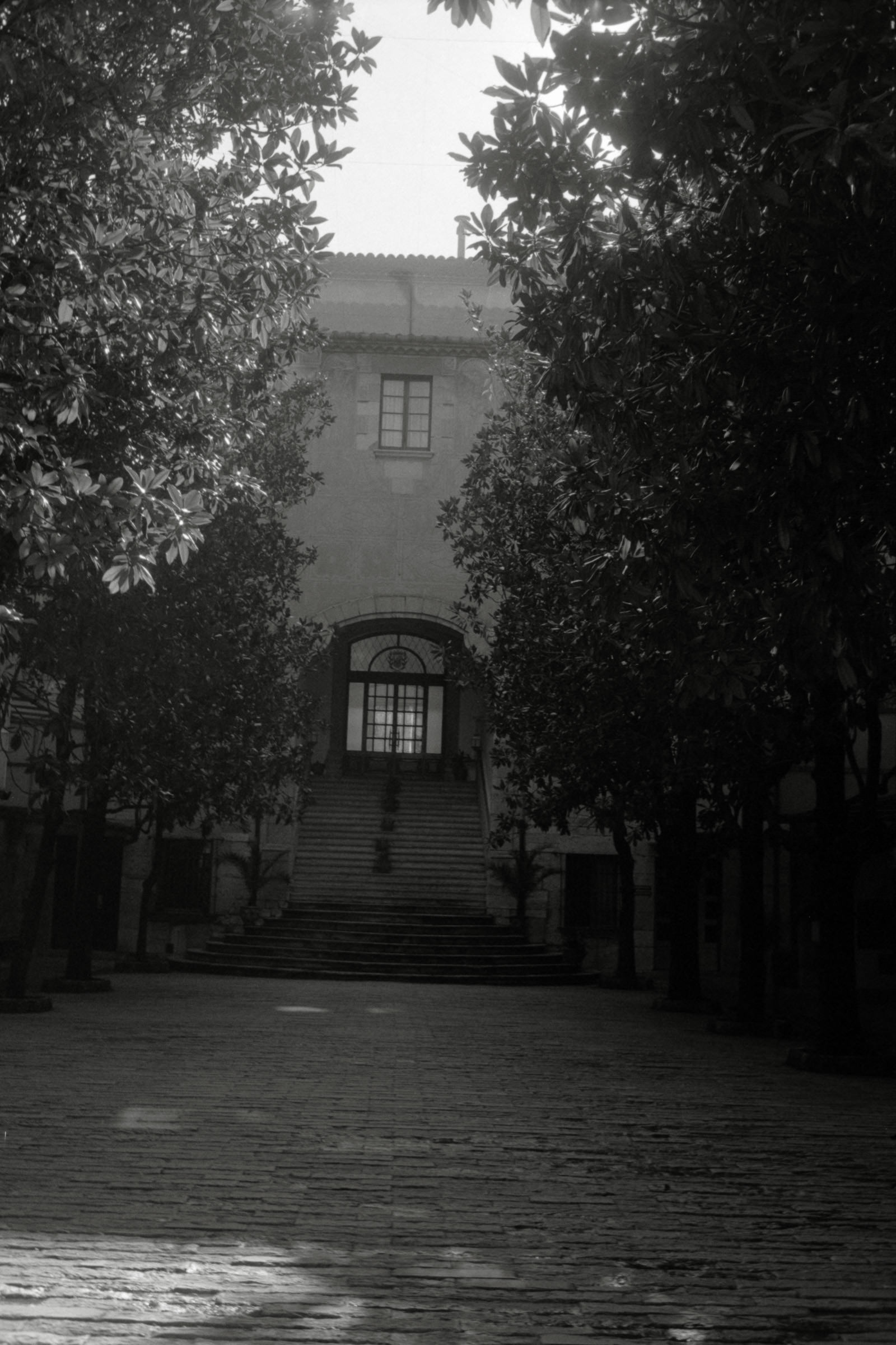 AHP F1996 02 001 sc240816 img01 NLP